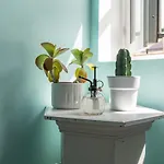 Le Reve Bleu Majorelle - Duplex Sur Les Toits - Nuit A Ним